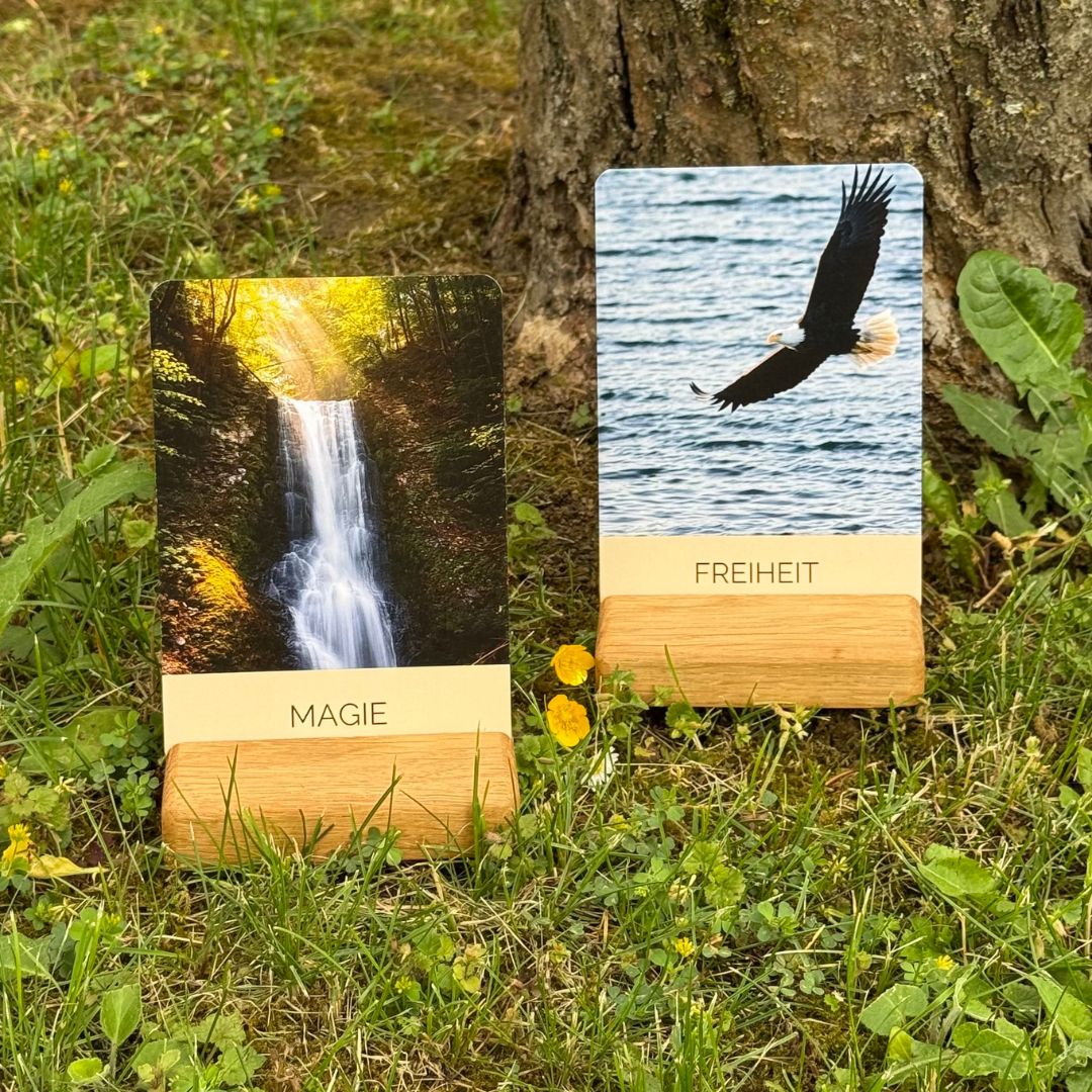 Impulskarten "Bündel" mit Aufsteller