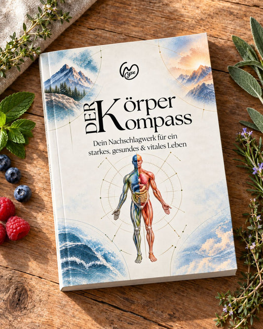 Der Körper Kompass