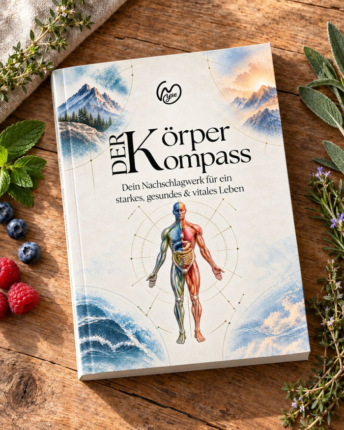 Der Körper Kompass