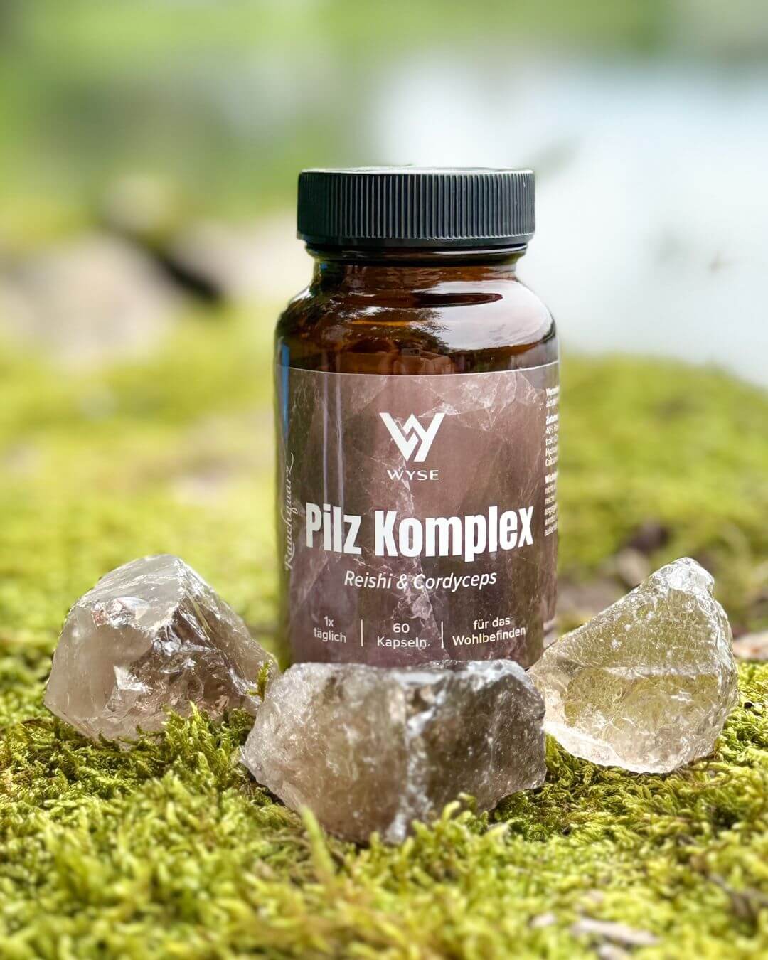 Pilz Komplex - Reishi & Cordyceps