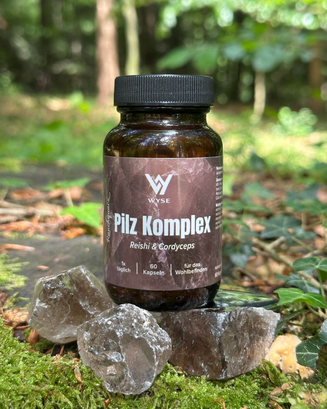 Pilz Komplex - Reishi & Cordyceps