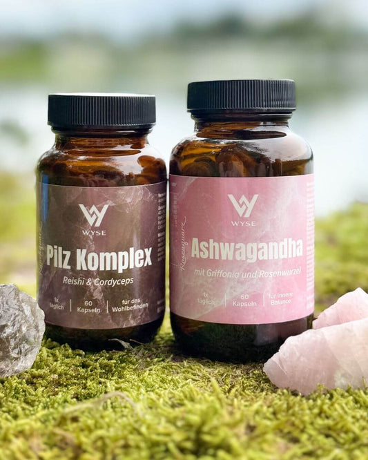 Nerven & Balance Komplex Bündel